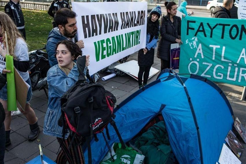 Büyükada'daki Ruam salgını ile ilgili şok iddia! İmamoğlu'na seslendiler...