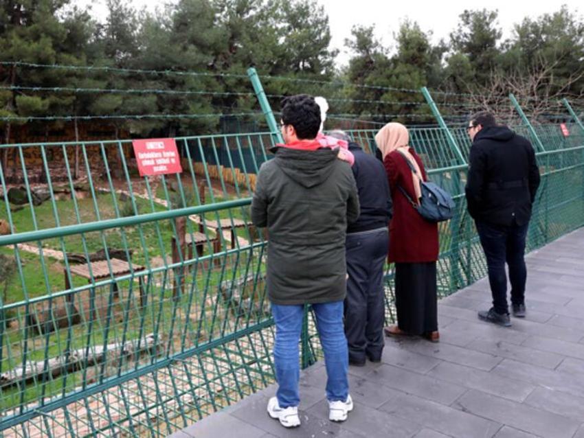 Cumhurbaşkanı Erdoğan'a hediye edilen aslanlar büyüdü