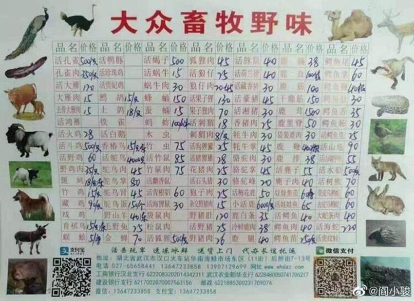 Virüs bu pazardan yayıldı! Koala, karıncayiyen, sıçan, yılan...
