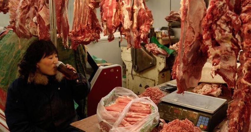 Virüs bu pazardan yayıldı! Koala, karıncayiyen, sıçan, yılan...
