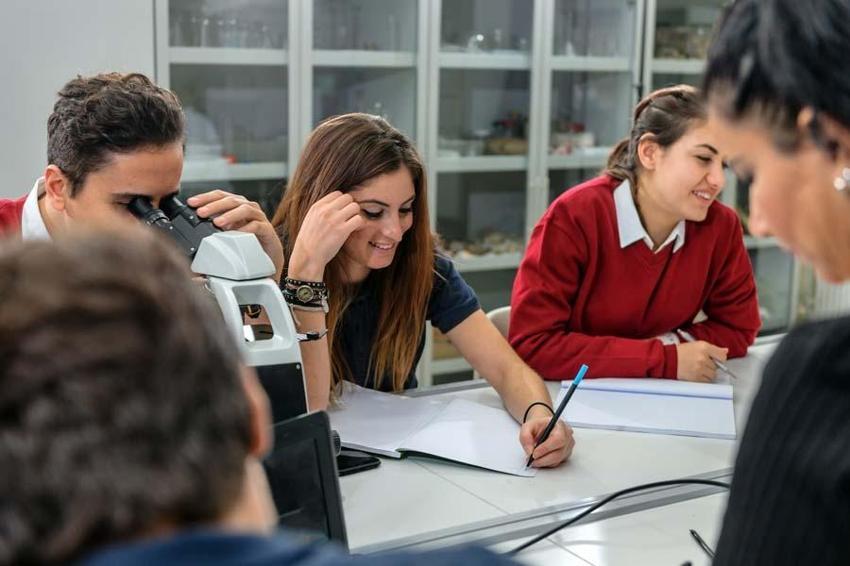 MEB harekete geçti ve 81 ile yazı yolladı: 2 Eylül'e kadar durduruldu...