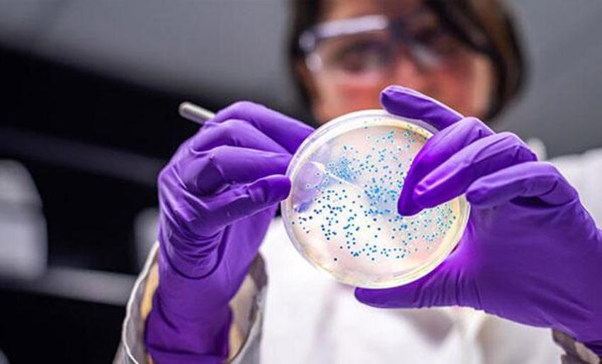 Nobel ödüllü doktor corona virüsün nasıl ortaya çıktığını açıkladı