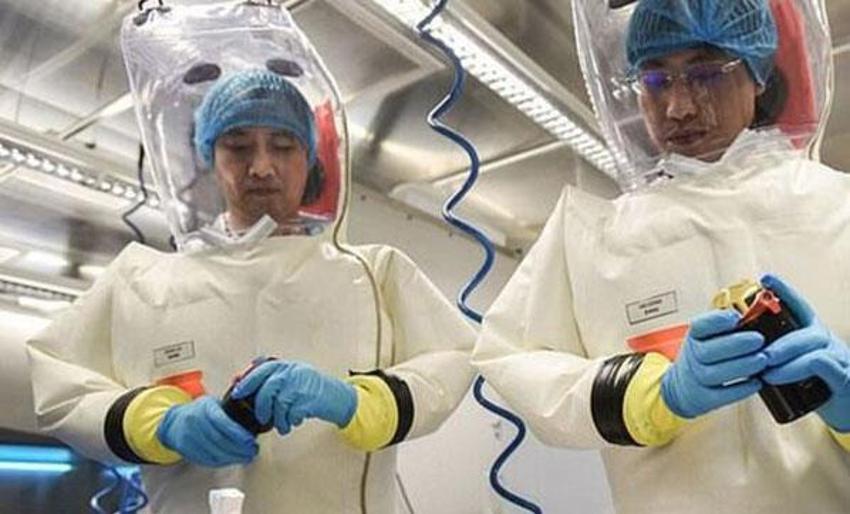 Nobel ödüllü doktor corona virüsün nasıl ortaya çıktığını açıkladı