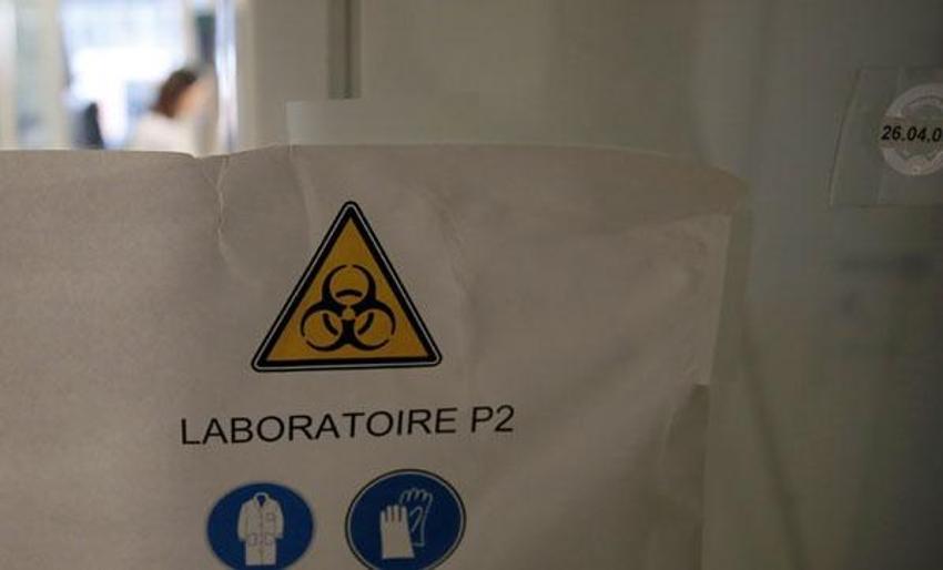 Nobel ödüllü doktor corona virüsün nasıl ortaya çıktığını açıkladı