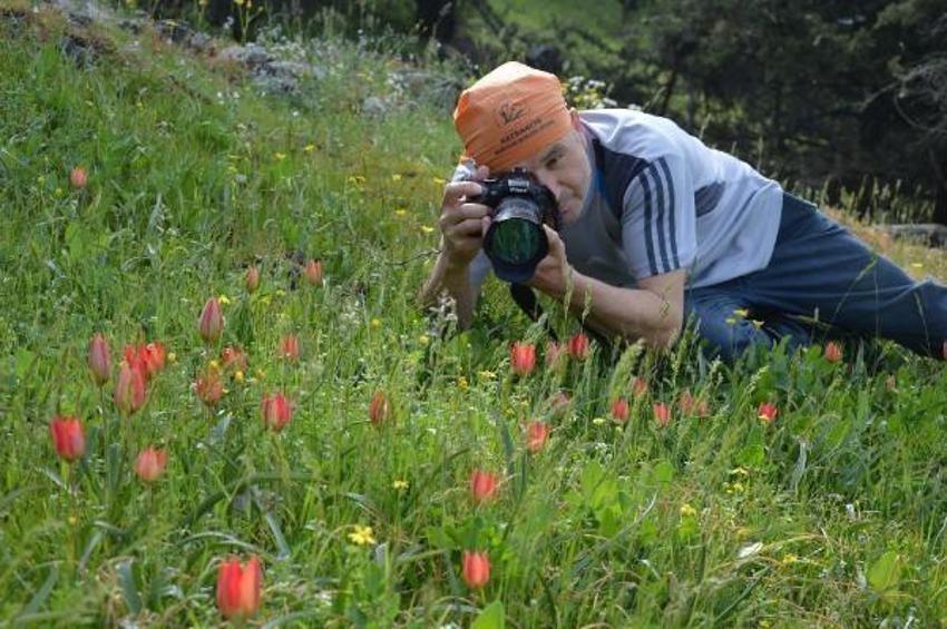 Manisa lalelerini koparmanın cezası 73 bin lira!