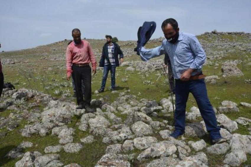 Şanlıurfa'da büyük panik! Çekirge istilası...