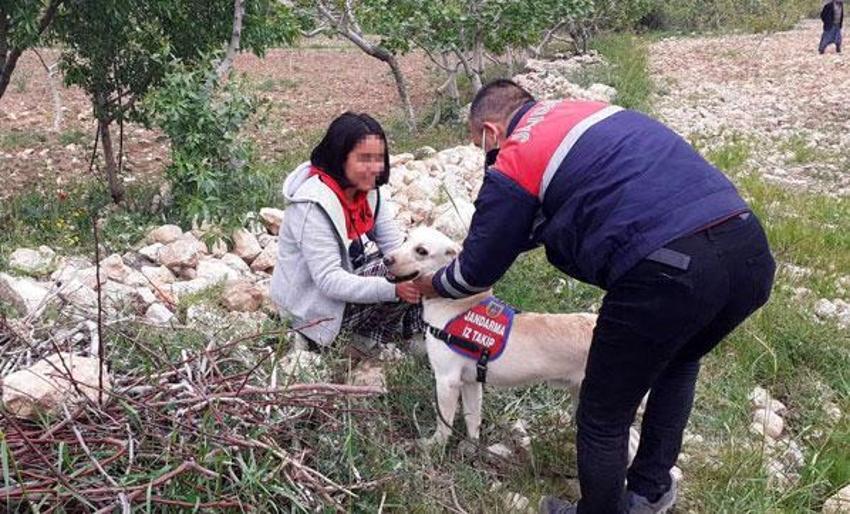 Kayıp kız çocuğu ormanlık alanda bulundu