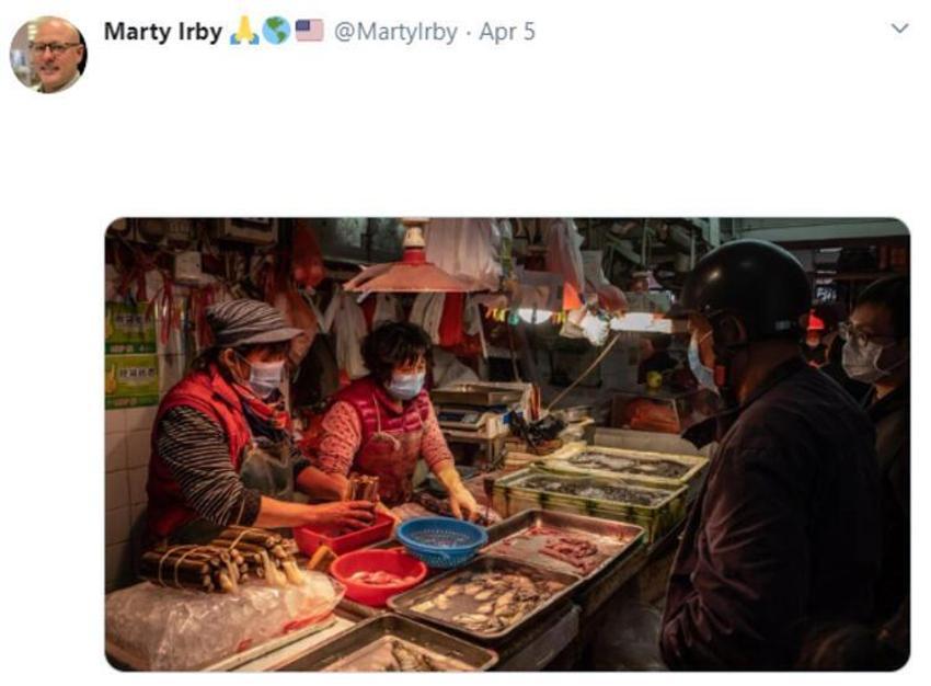 Bilim insanları açıkladı! Salgının asıl nedeni...