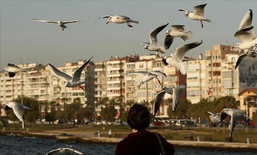 Corona virüs sonrası talep yağdı! Buralarda konut sahibi olanlara iyi haber