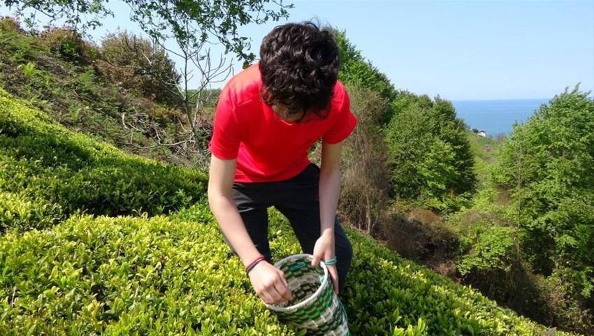 Talebe yetişemiyorlar! Kilosu 4 bin 500 liraya satılıyor