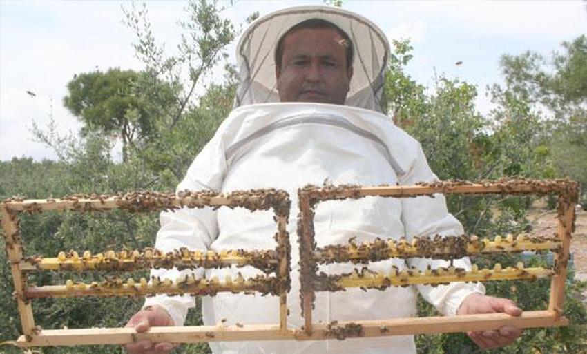 Kilosu 16 bin TL olan arı sütüne corona virüs ilgisi