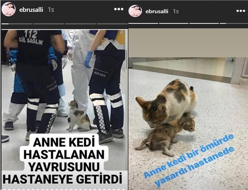 Ebru Şallı'dan yürek yakan paylaşım!