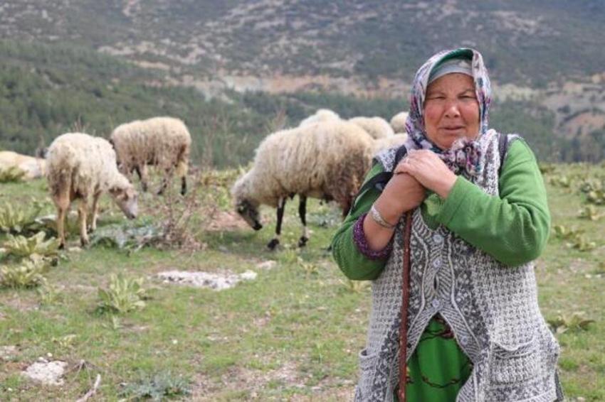 Antik kenti koyun sürüsü bastı! 'Ayağıyla para mı kazacaklar?'