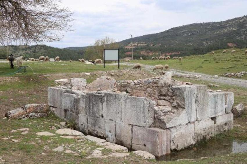 Antik kenti koyun sürüsü bastı! 'Ayağıyla para mı kazacaklar?'