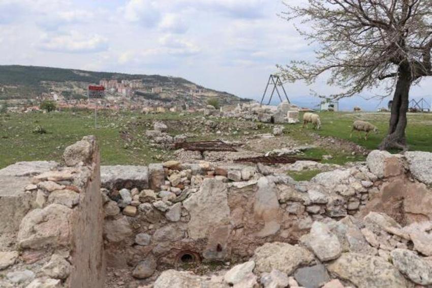 Antik kenti koyun sürüsü bastı! 'Ayağıyla para mı kazacaklar?'