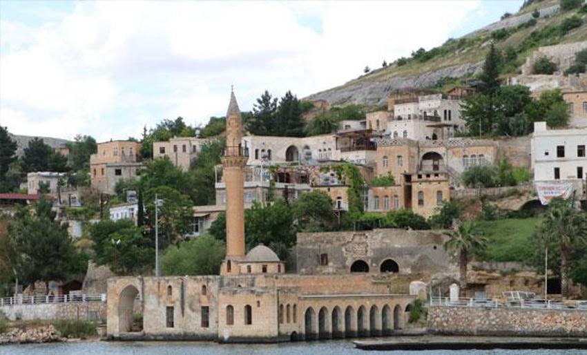 Dünya devleri peşinde! Halfeti'de kara gülün ardından yeşil gül yetiştirilecek