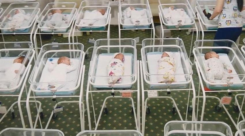 Taşıyıcı annelerin doğurduğu onlarca bebek virüs sebebiyle elde kaldı
