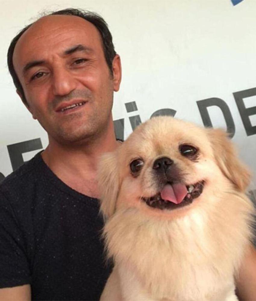 Ölen köpeğinin tesellisini böyle buldu!