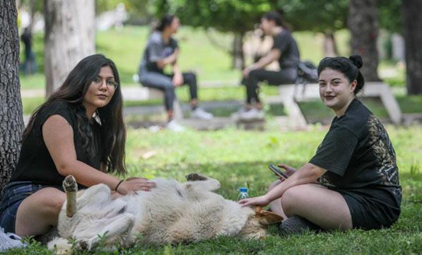 Avrupa'nın lideri Türkiye! 20 ülkeyi geride bıraktık...
