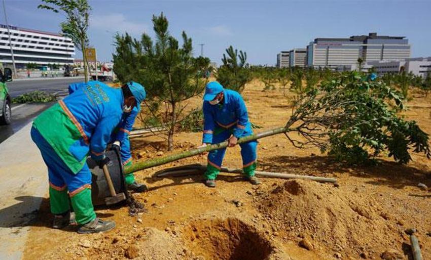 Büyük gün perşembe! Başakşehir Şehir Hastanesi Açılıyor