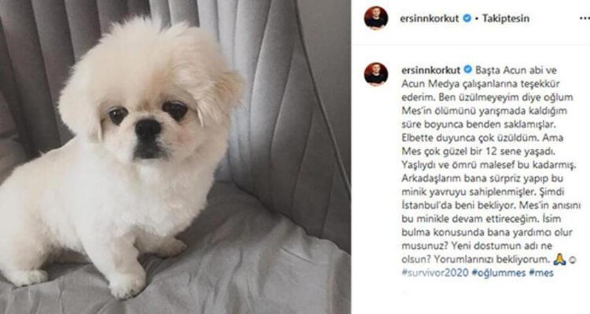 Ersin'e sürpriz! Yeni dostu...