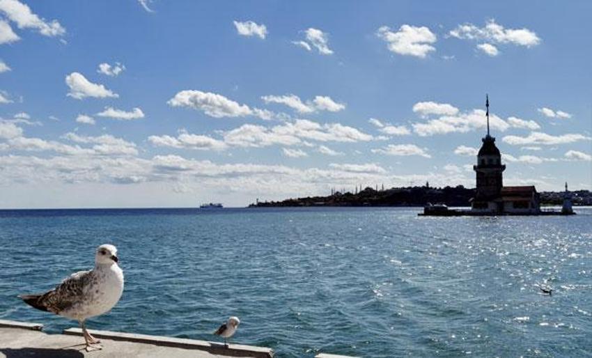 Bilim Kurulu üyesi açıkladı! Ankara, İstanbul, İzmir'de yeni normale geçiş daha sonra