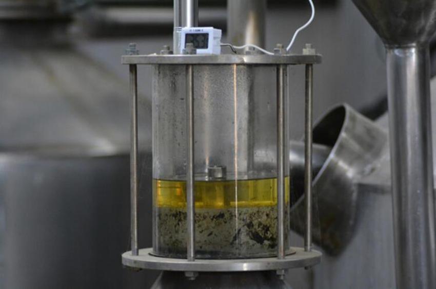 Kilogramı 6 bin euro! Gül yağı üretimi başladı