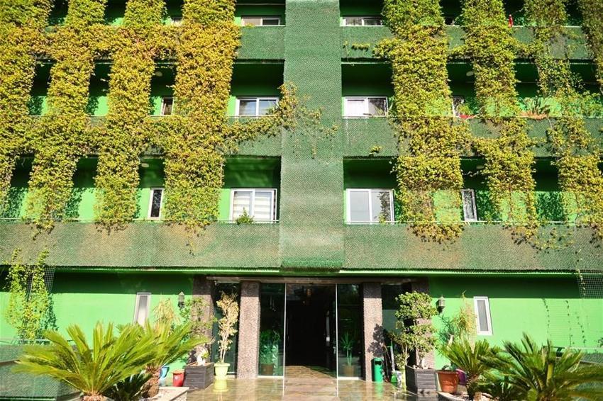 Sarmaşıklarla kaplı 10 katlı bina görüntüsüyle dikkat çekiyor