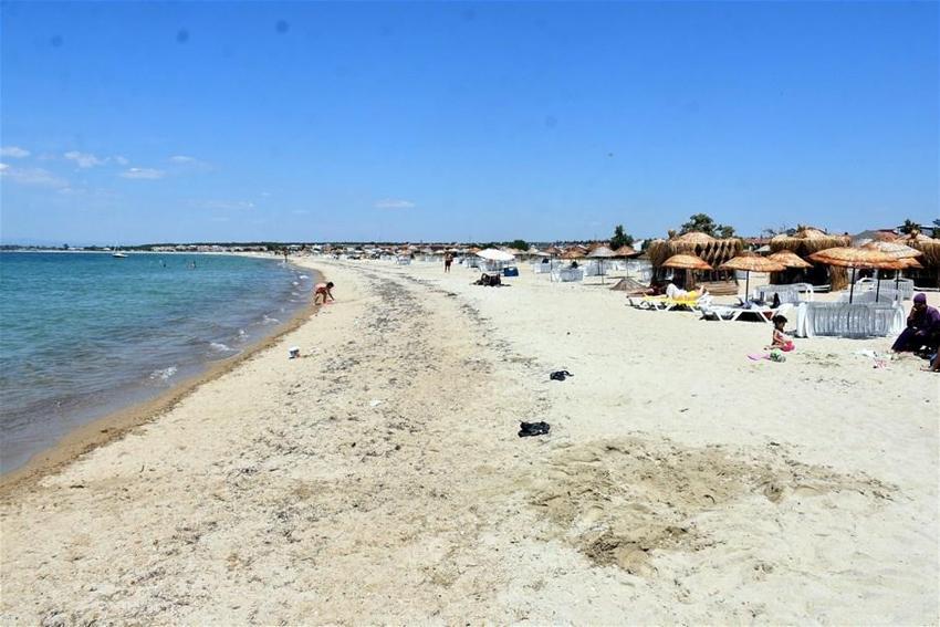Saros Körfezi'ni istila ettiler! Yüz binlerce uğur böceği...