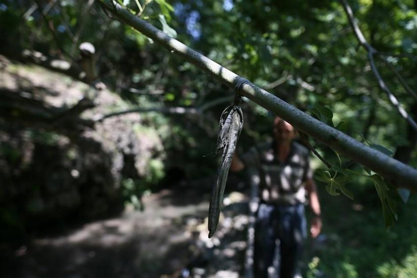 Şifa bulmak için içi su dolu tünelden geçiyorlar
