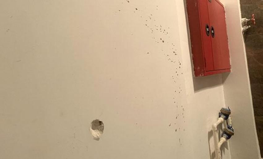 Dehşet evinin tek tanığının ifadesi ortaya çıktı: Hapis yatılır mı baba? Ver kendimi de vuracağım