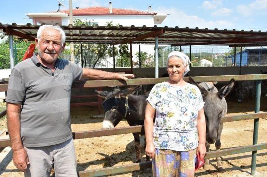 Eşek sütü ve sabununda talebe yetişemiyor