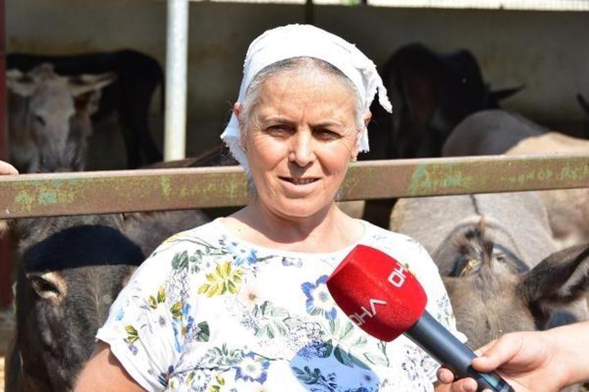 Eşek sütü ve sabununda talebe yetişemiyor