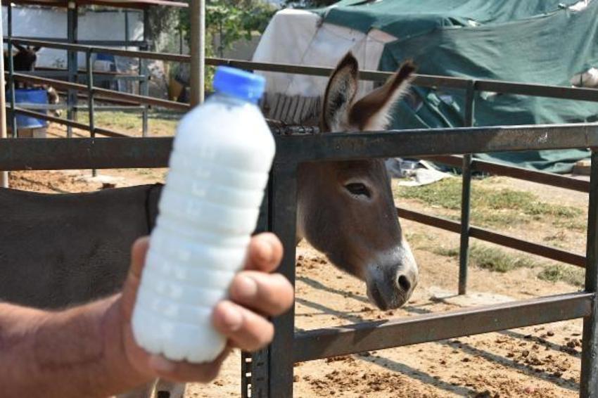 Eşek sütü ve sabununda talebe yetişemiyor