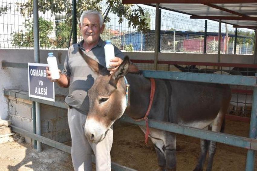 Eşek sütü ve sabununda talebe yetişemiyor