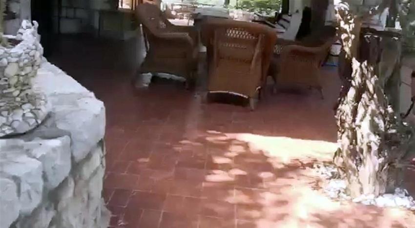 Ali Ağaoğlu Marmaris'teki adasını satışa çıkardı! Fiyatı dudak uçuklattı
