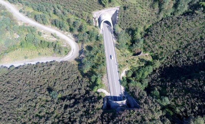 Dev porjede sona doğru! Sovyet tankları yüzünden durdurulmuştu...