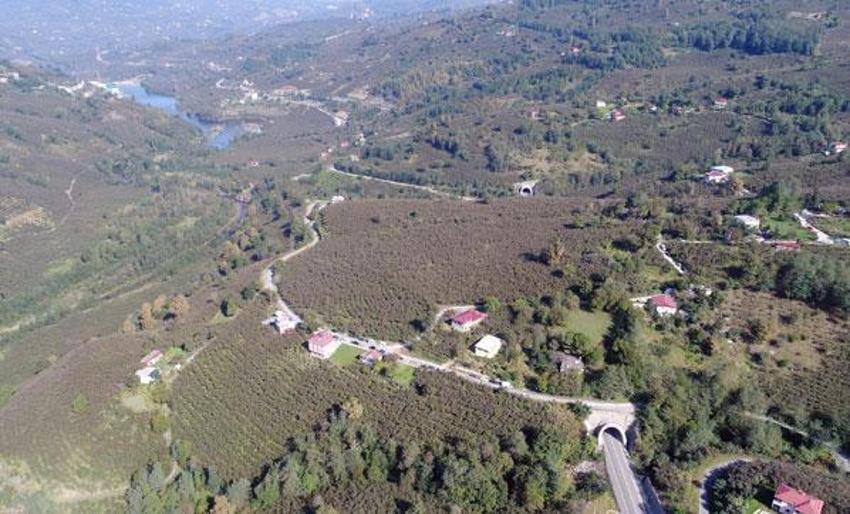 Dev porjede sona doğru! Sovyet tankları yüzünden durdurulmuştu...