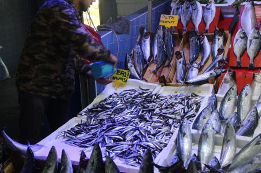 Palamut fiyatları tavan yaptı