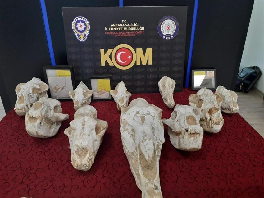 Adnan Oktar'ın Ankara'daki evlerinden milyon dolarlık fosiller çıktı