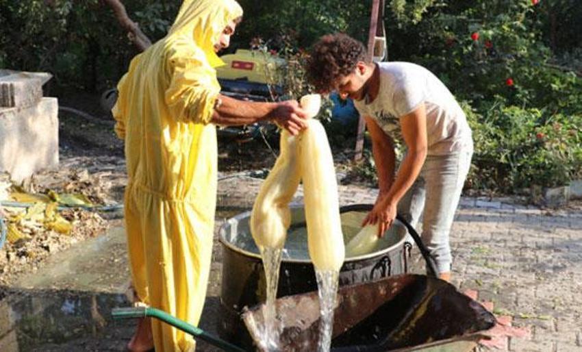Doğal banyo kesesi! Nehir kıyısında yetiştiriyorlar getirisi iyi...