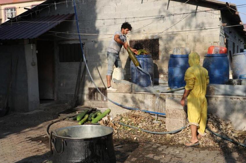 Doğal banyo kesesi! Nehir kıyısında yetiştiriyorlar getirisi iyi...