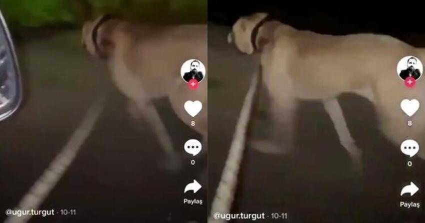 Süt banyosu rezaletinden sonra bir skandal daha!