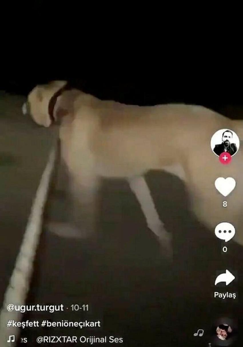 Süt banyosu rezaletinden sonra bir skandal daha!