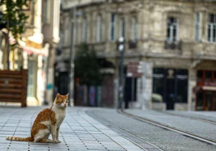 Sokağa çıkma yasağı! Yarın başlıyor, onlara yasak yok...