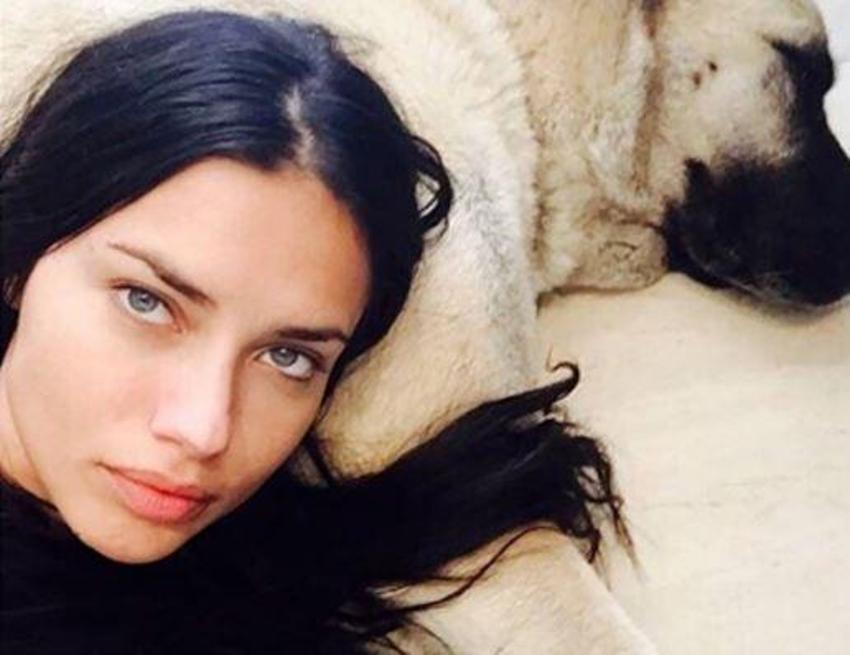 Adriana Lima'ya çağrı: 'Üçüncü kangal bizden olsun'