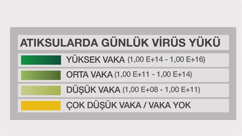 Atık sularda korona tehlikesi! Mutasyona uğradı, haritada ortaya çıktı...