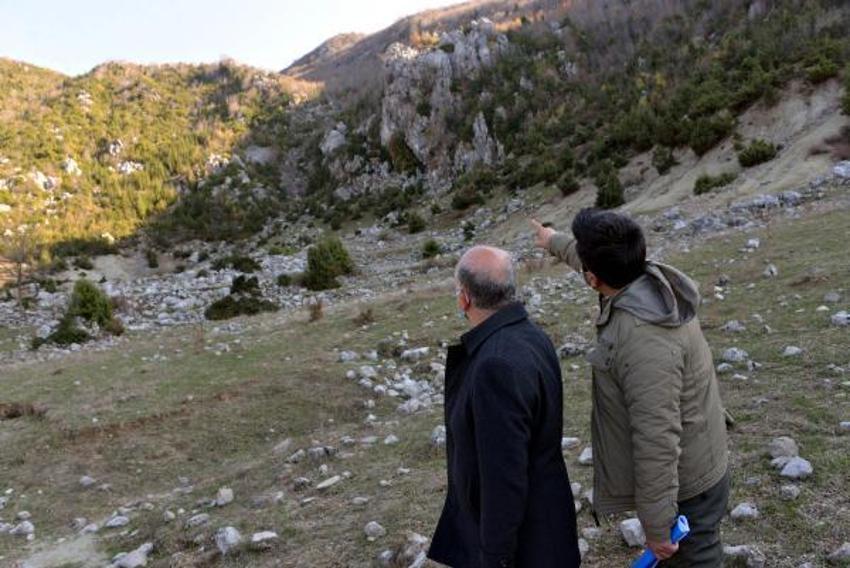 Günlük 500 lira kazanıyorlar! Defne yaprağı...