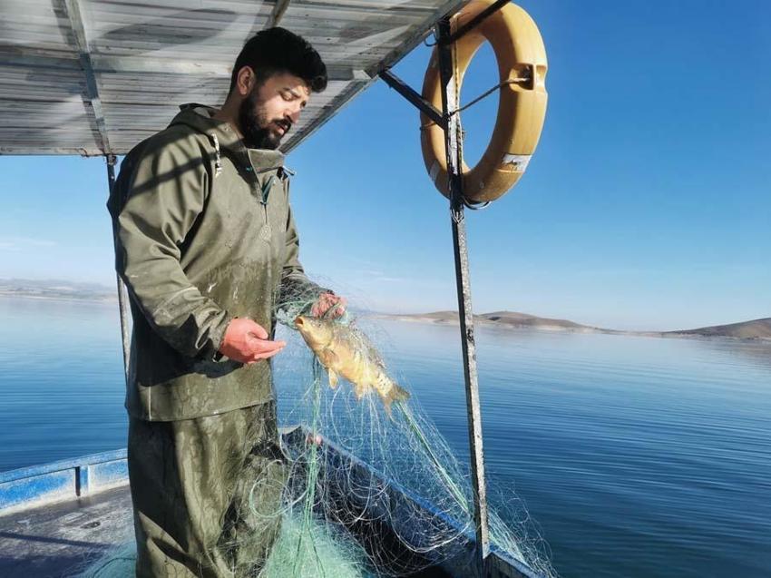 Koronadan korunmak için buraya yerleşti! Görüntüsüyle büyülüyor...