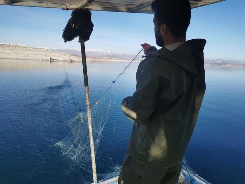 Koronadan korunmak için buraya yerleşti! Görüntüsüyle büyülüyor...